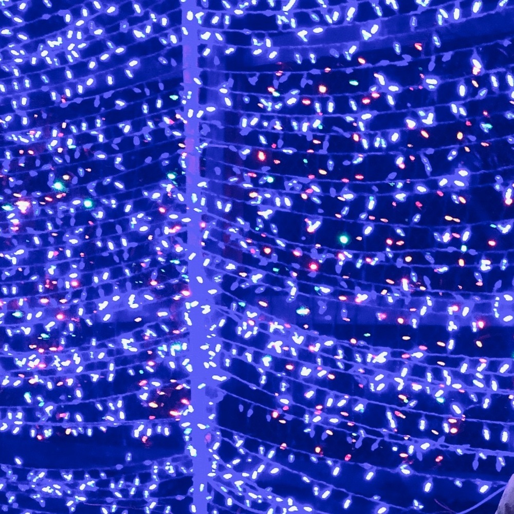 Meet your Posher, Tehya